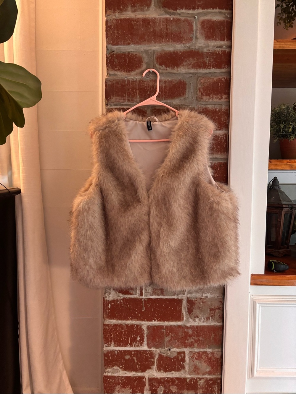 Faux Fur Vest